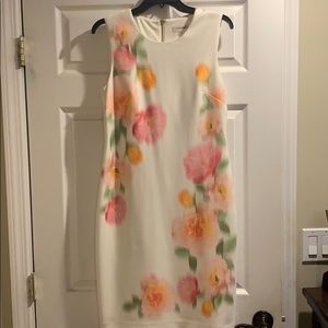 Women’s Calvin Klein Dress